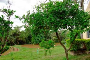 Hotel Fazenda Vale Amanhecer,Betim>>Belo Horizonte,4 star