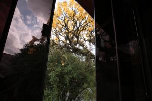 aardvark inn pousada