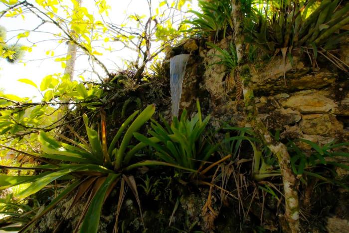 pousada torre branca adults only