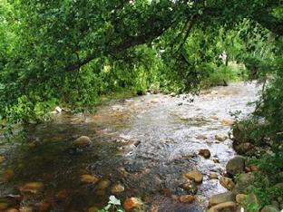 rozenburg guesthouse