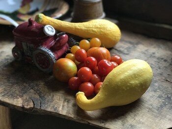 good place farms bandb