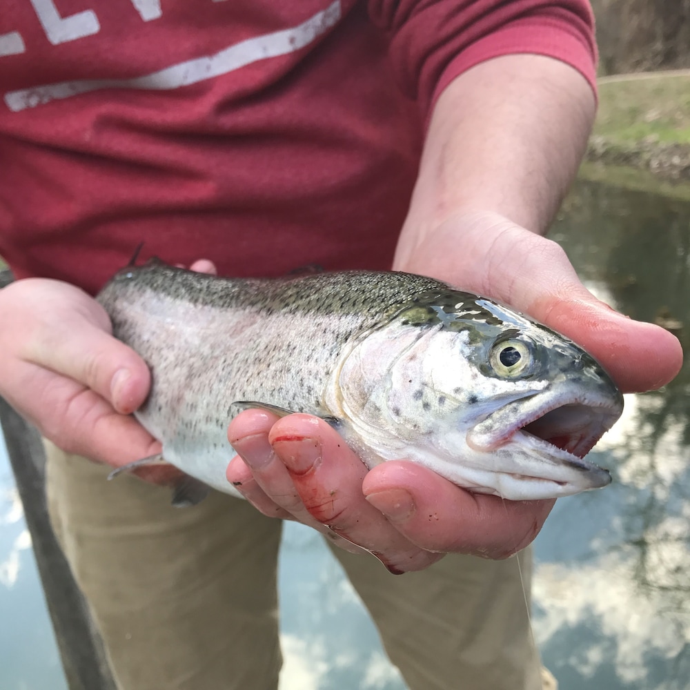 good place farms bandb