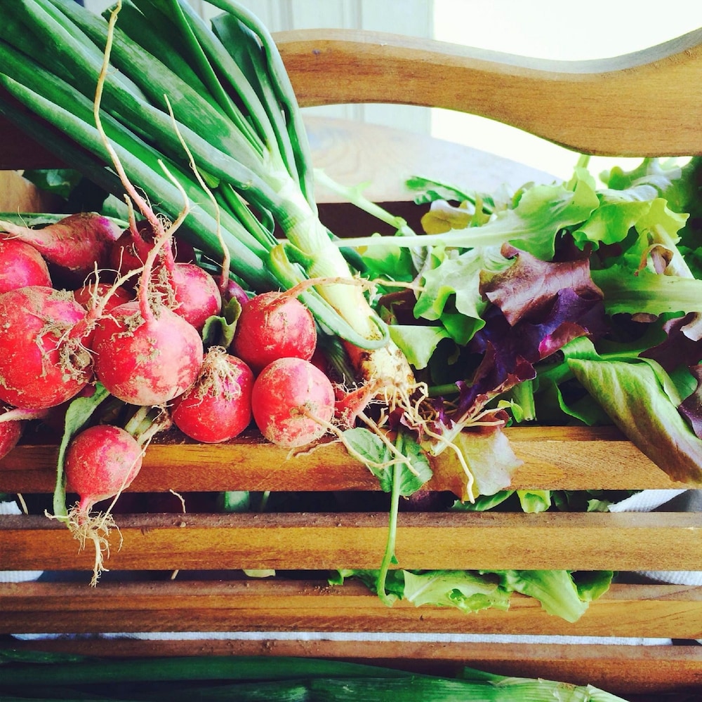 good place farms bandb