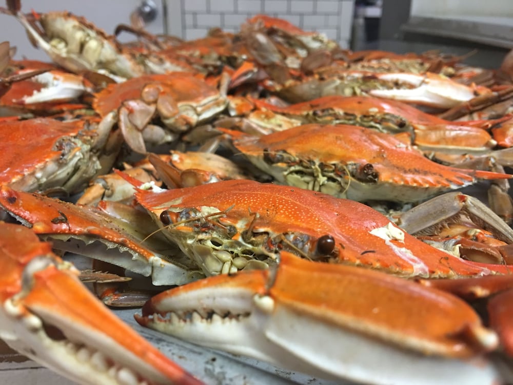 good place farms bandb