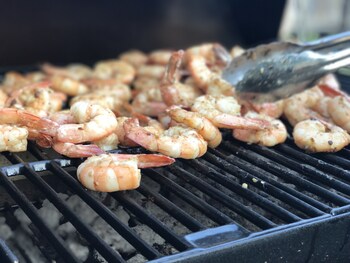 good place farms bandb