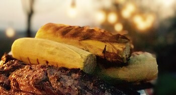 good place farms bandb