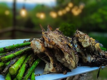 good place farms bandb