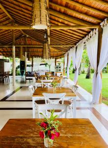 pousada villa palmeira azul