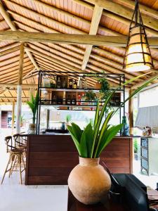 pousada villa palmeira azul