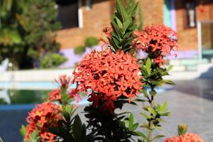 pousada cantim de bh