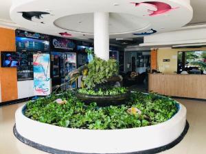 Hotel Yurupary,Colombia>>Leticia,3 star