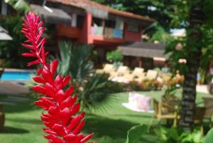 porto seguro