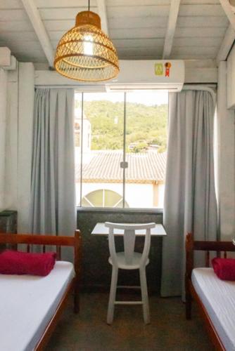 sea wolf surf club hostel