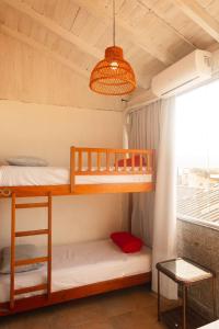 sea wolf surf club hostel