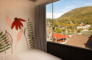 sea wolf surf club hostel