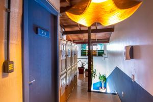 sea wolf surf club hostel