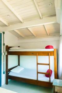 sea wolf surf club hostel