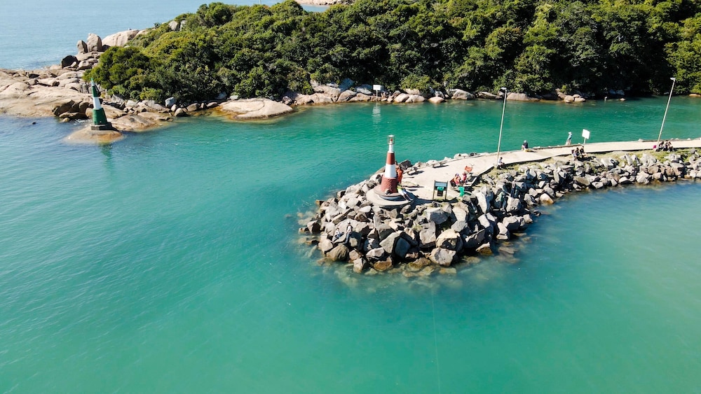 sea wolf surf club hostel