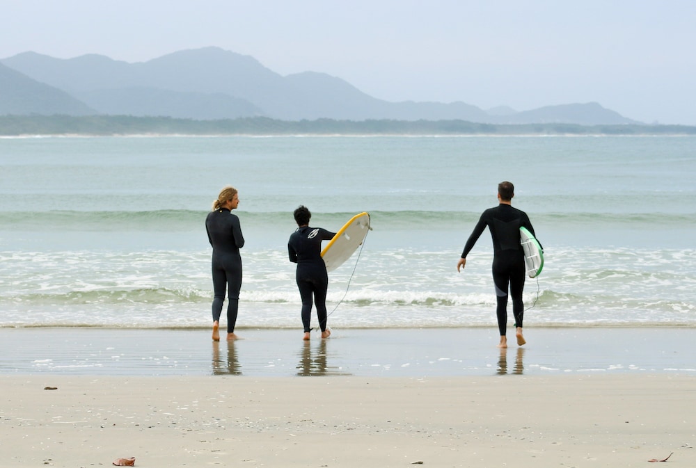 sea wolf surf club hostel