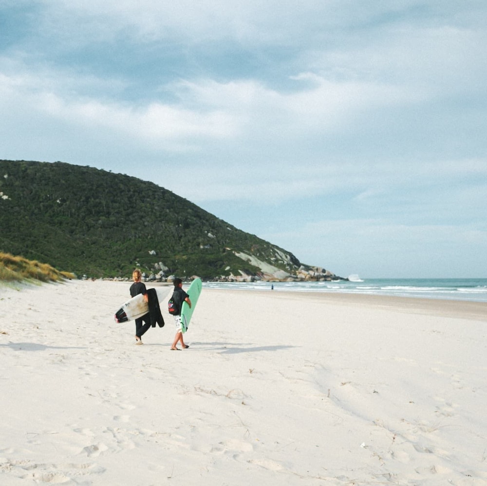 sea wolf surf club hostel