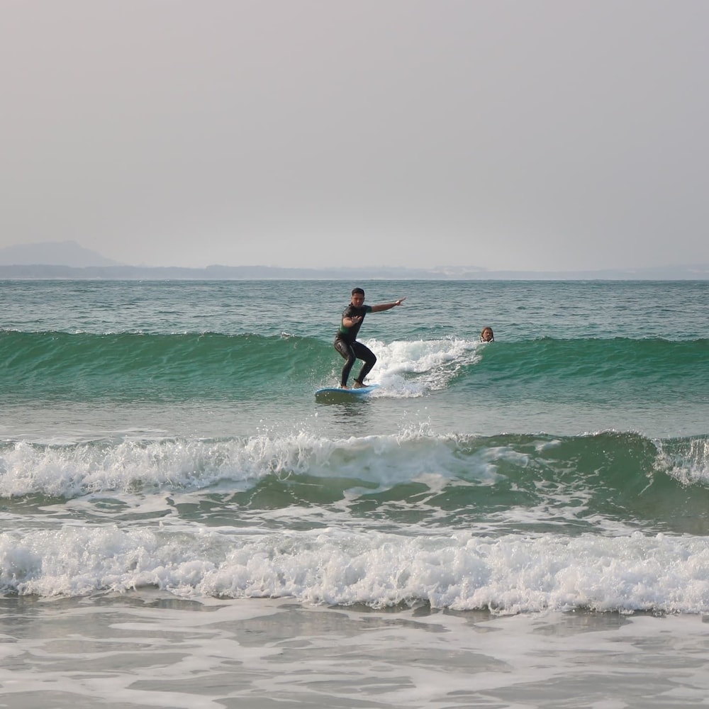 sea wolf surf club hostel