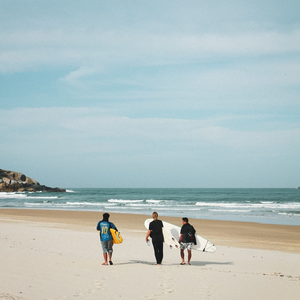 sea wolf surf club hostel