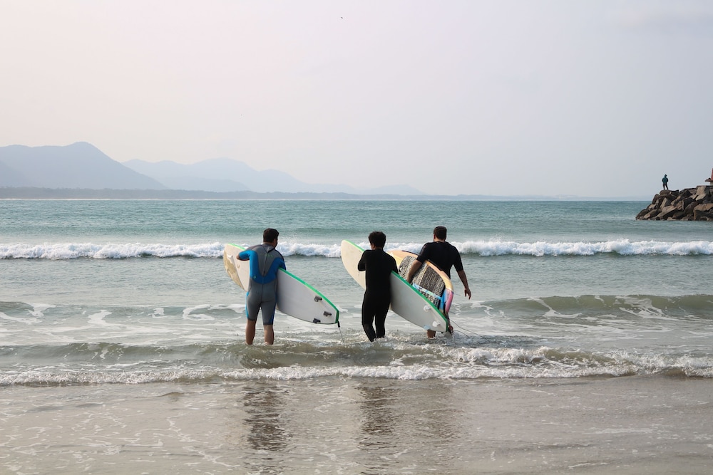 sea wolf surf club hostel