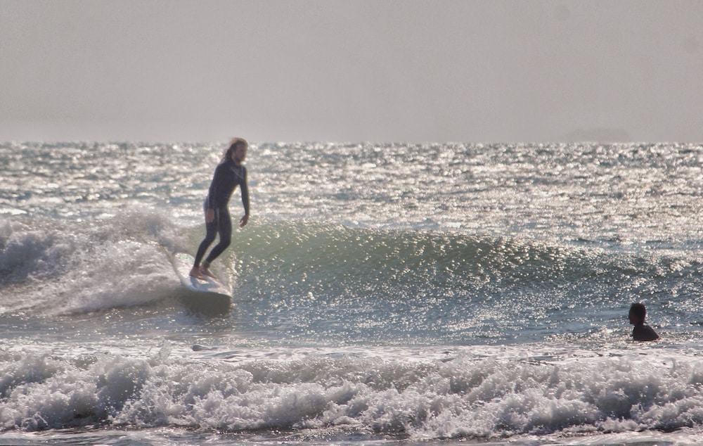 sea wolf surf club hostel