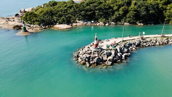 sea wolf surf club hostel