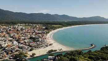 sea wolf surf club hostel