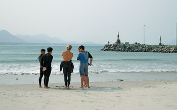 sea wolf surf club hostel