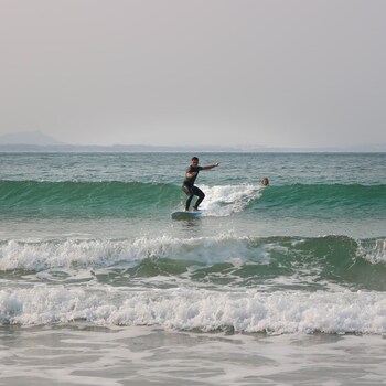 sea wolf surf club hostel