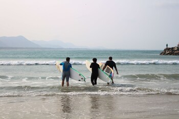 sea wolf surf club hostel