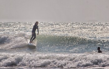sea wolf surf club hostel