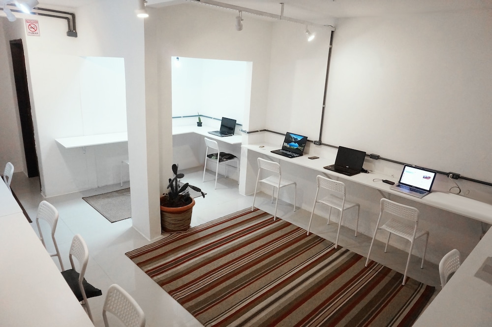 sea wolf surf club hostel