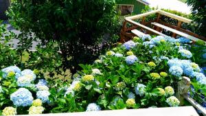 cabanas brisa dos canyons