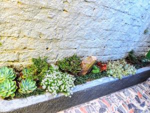 cabanas brisa dos canyons