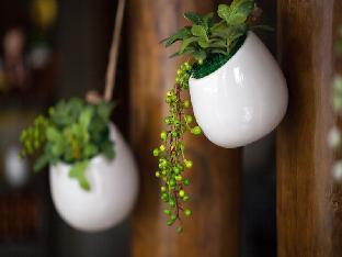 zhangjiajie shi guang zhi wai boutique hotel