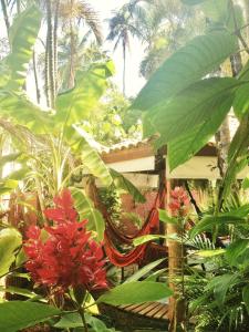 pousada tropicana