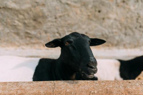 maria barbosa tiradentes pousada e spa
