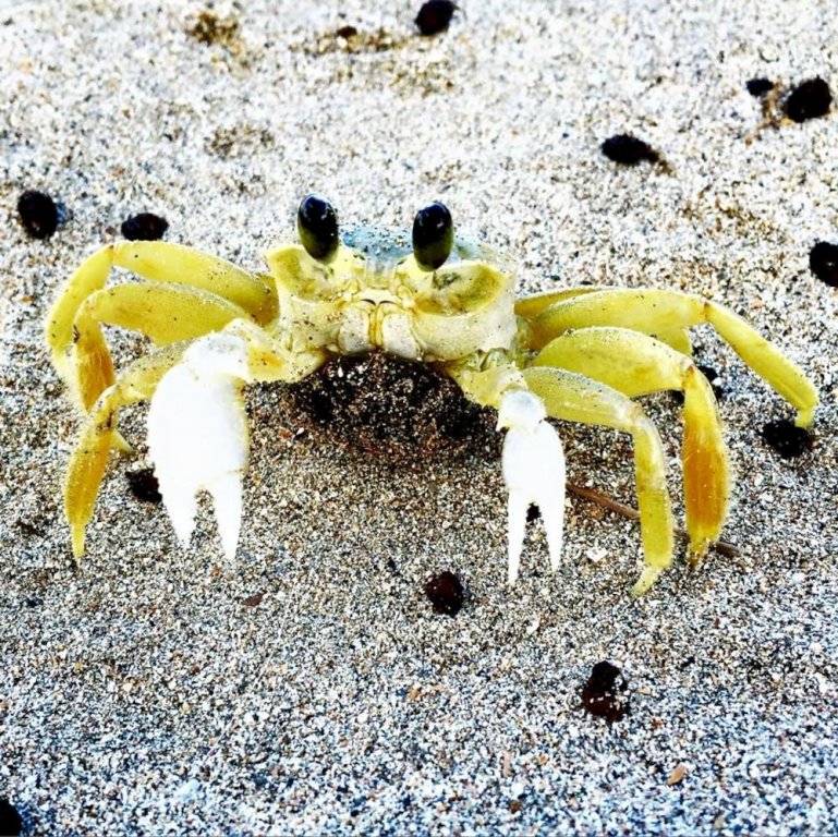 sao miguel dos milagres