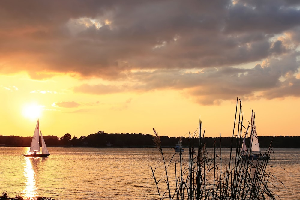 sandaway suites and beach