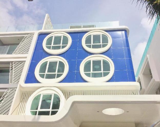 bearpacker patong hostel