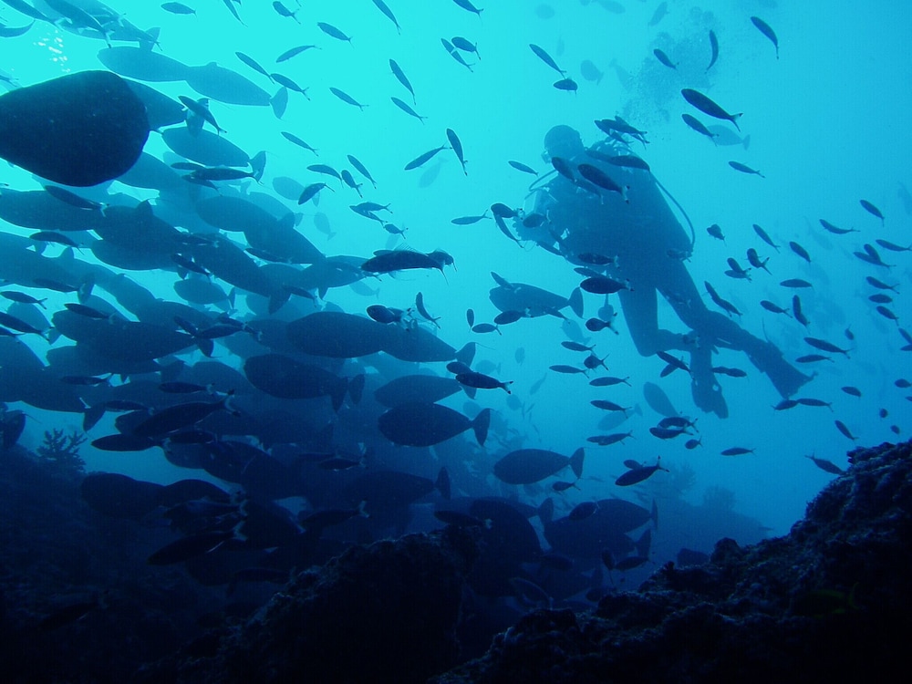 bodufolhudhoo