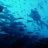 bodufolhudhoo