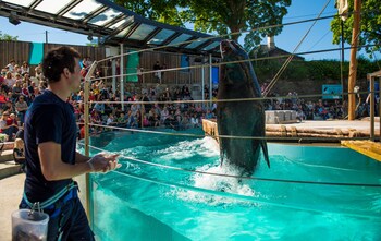 magic hotel solheimsviken