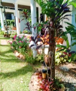 privacy resort koh chang