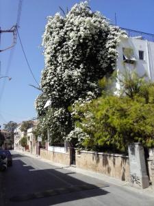 City-Image