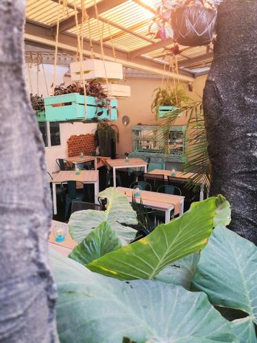 meraki boutique hotel