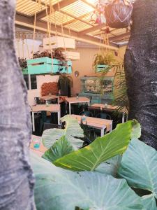 meraki boutique hotel